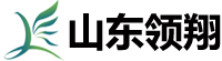山東領翔新材料有限公司